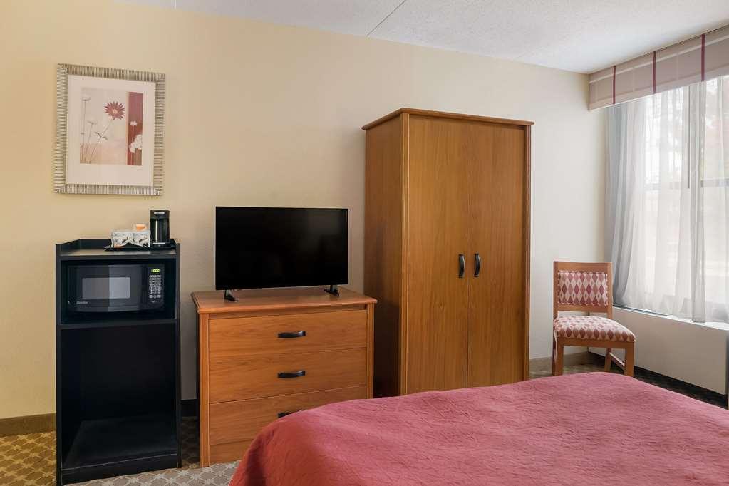 Quality Inn & Suites Saginaw Quarto foto
